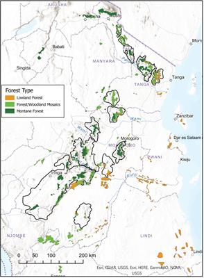 Evolutionary and Ecological Explanations for the Elevational Flexibility of Several East African Bird Species Complexes